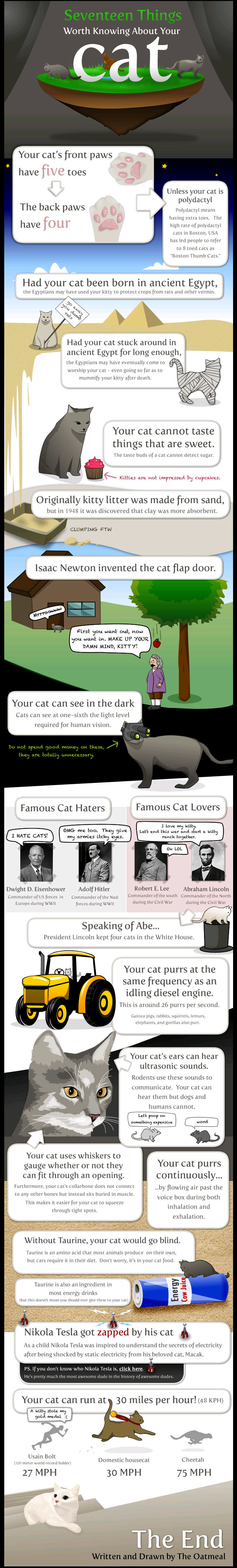 17thingsaboutyourcat.jpg