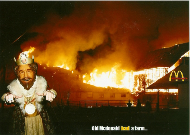 Old Mcdonnald HAD a farm!